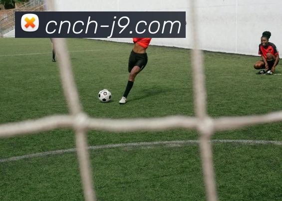 J9国际站官网品牌故事